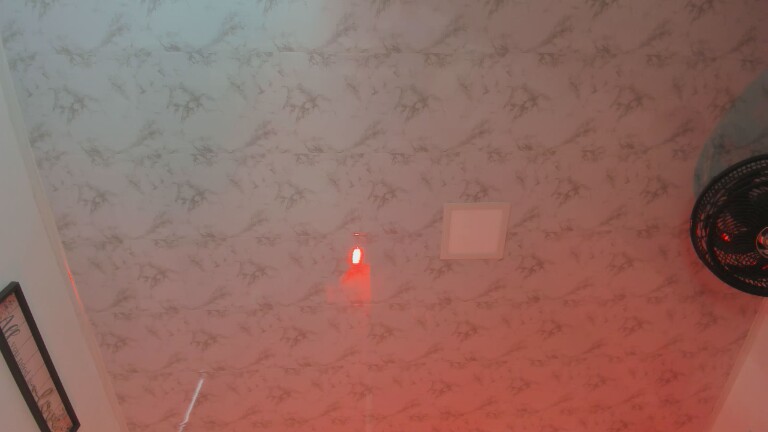 aliceee18's Streamate show and profile